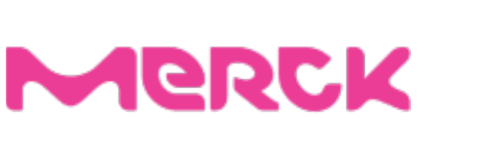 Custom Plugin Website project logo